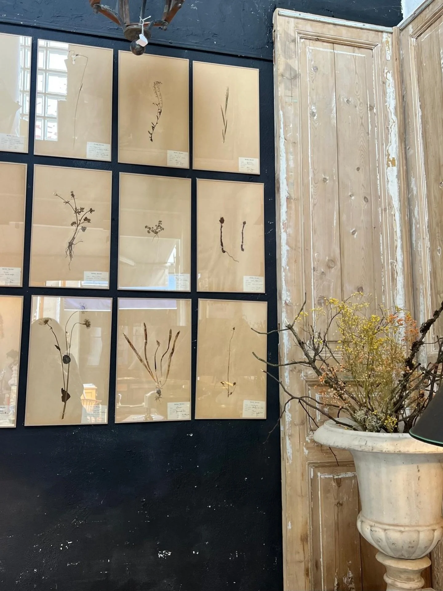 &ldquo;Botanicals, worn wood, and the kind of patina that can&rsquo;t be rushed. Spotted at @antiquites.lahaye at the Paris flea market &mdash; Les Puces de Saint-Ouen.

#ParisAntiques #LesPuces #ParisFleaMarket #Harper_Hughes_Home