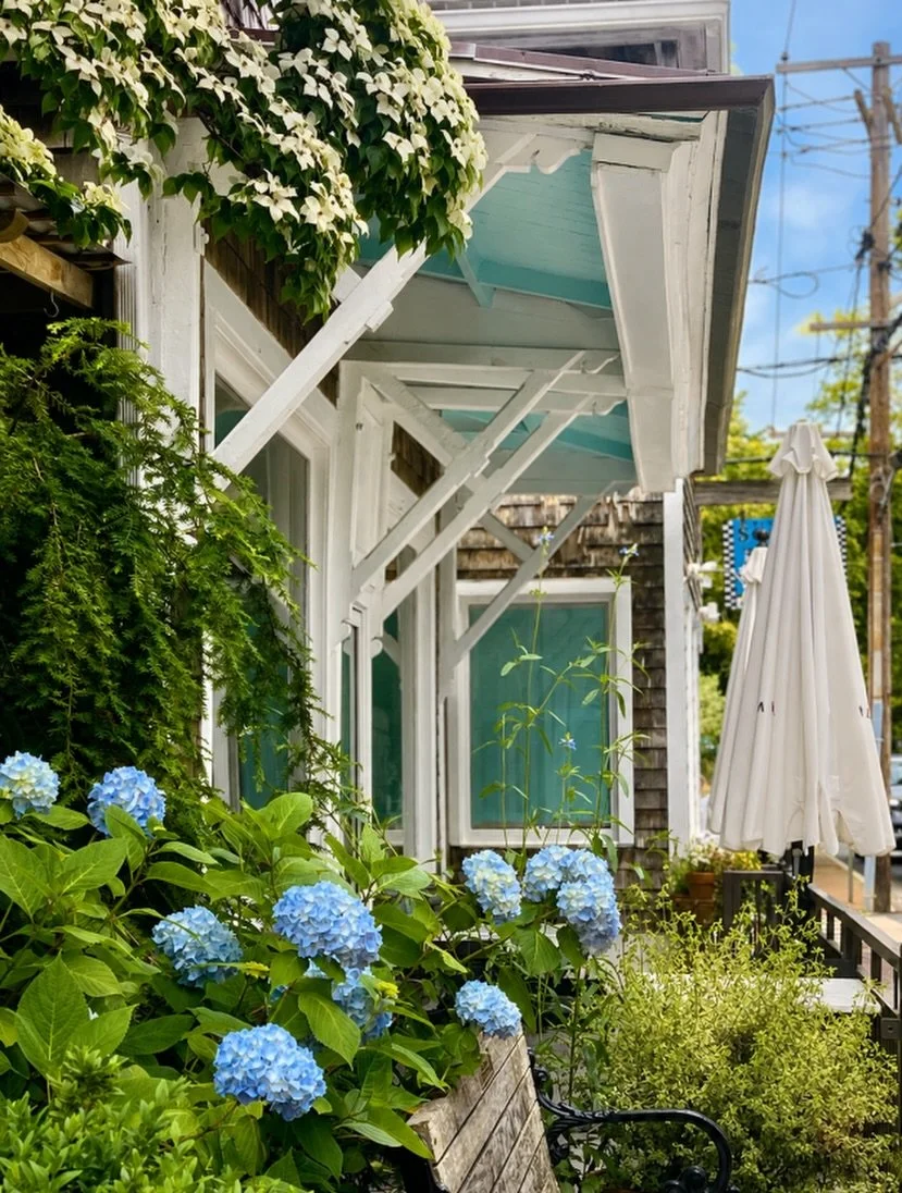 Friday florals with Martha&rsquo;s Vineyard blues, weathered porches, and soft summer light.
Already looking forward to returning this summer.

#FridayFlorals #MarthasVineyardLife #HeavenlyHydrangeas #Harper_Hughes_Home