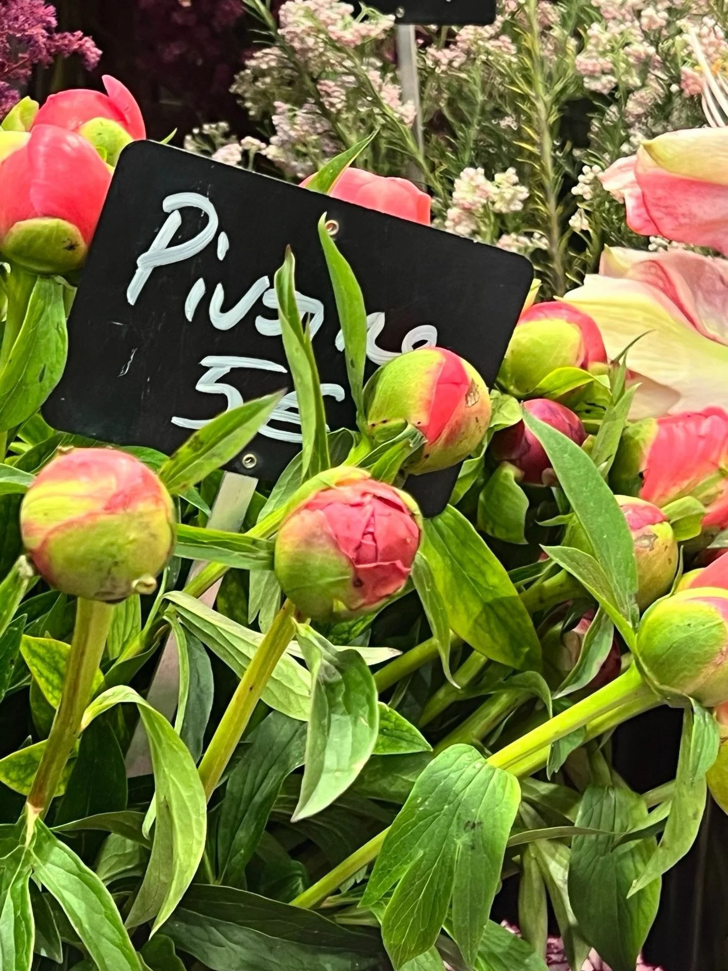 Fresh Peonies at the flower market ready to bloom, for this week&rsquo;s #FloralFriday 

#PeonyPerfection #PeoniesAreMyFavourite #FreshFlowersFriday #Harper_Hughes_Home