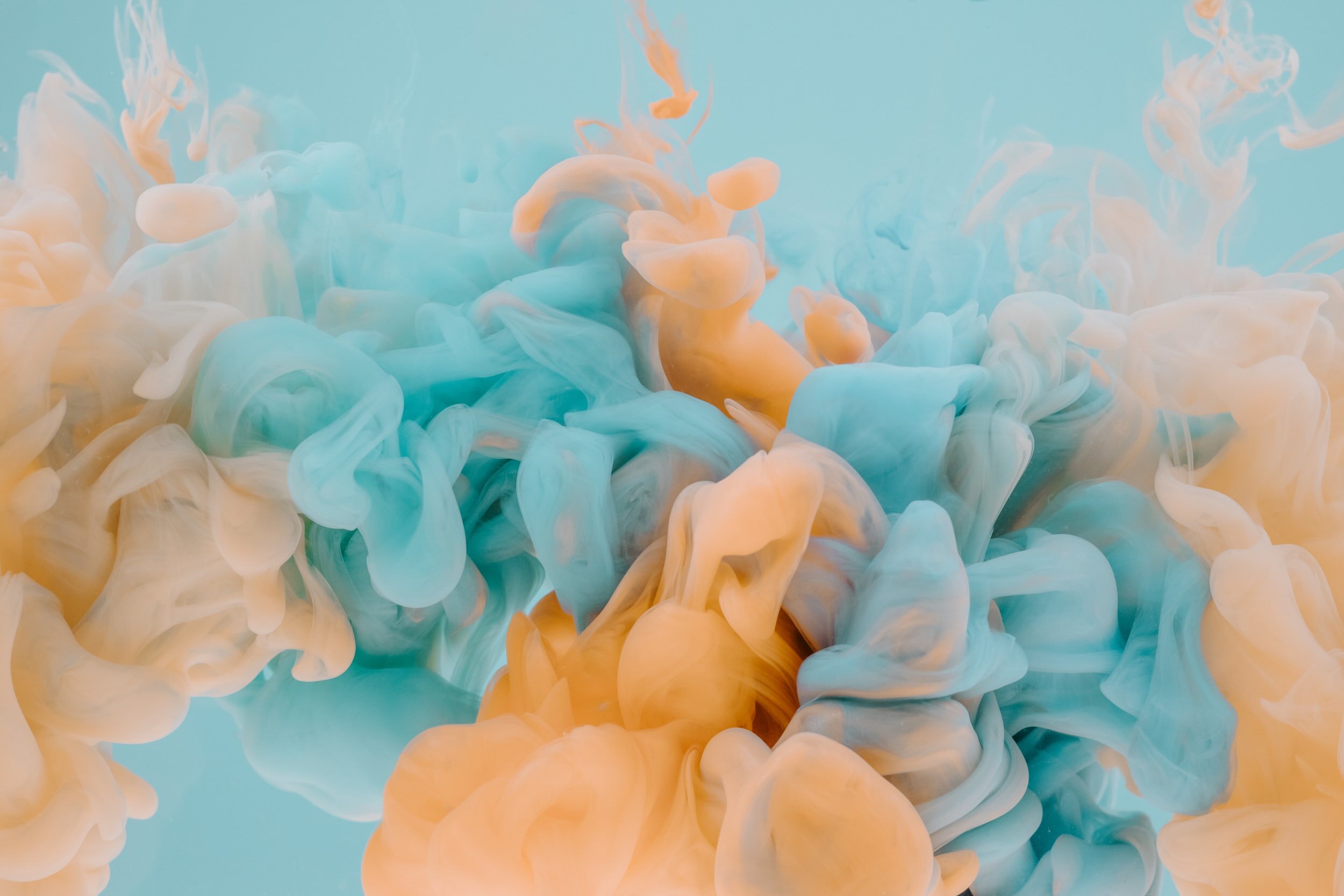 unsplash-image-vI5XwPbGvmY.jpg
