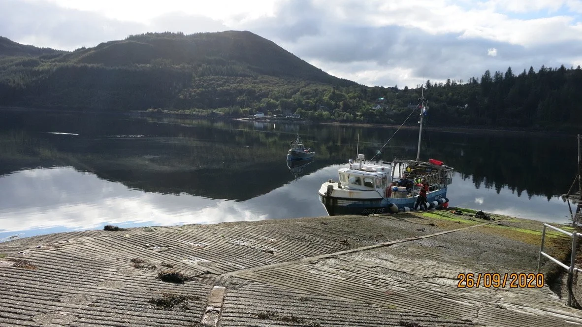 Photo by Lynne Mackay