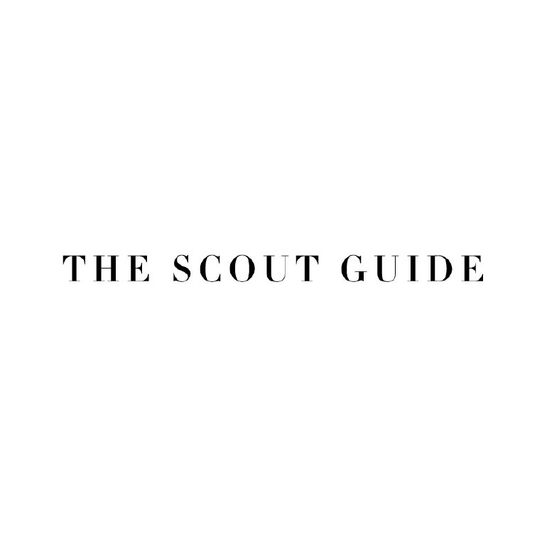 ScoutGuide.jpg