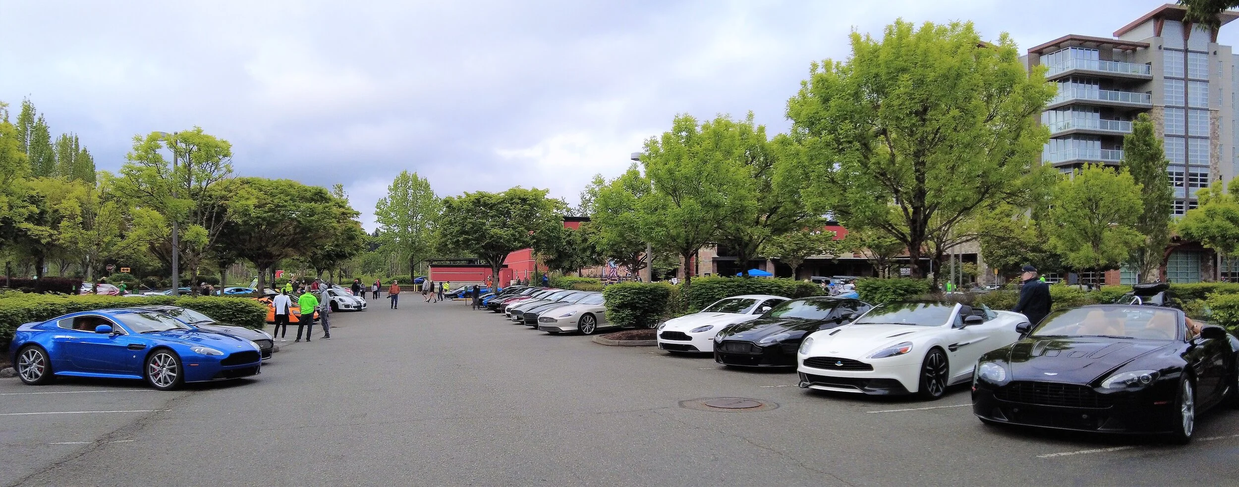 A Brief Homage to the PNW Aston Martin Owners Group