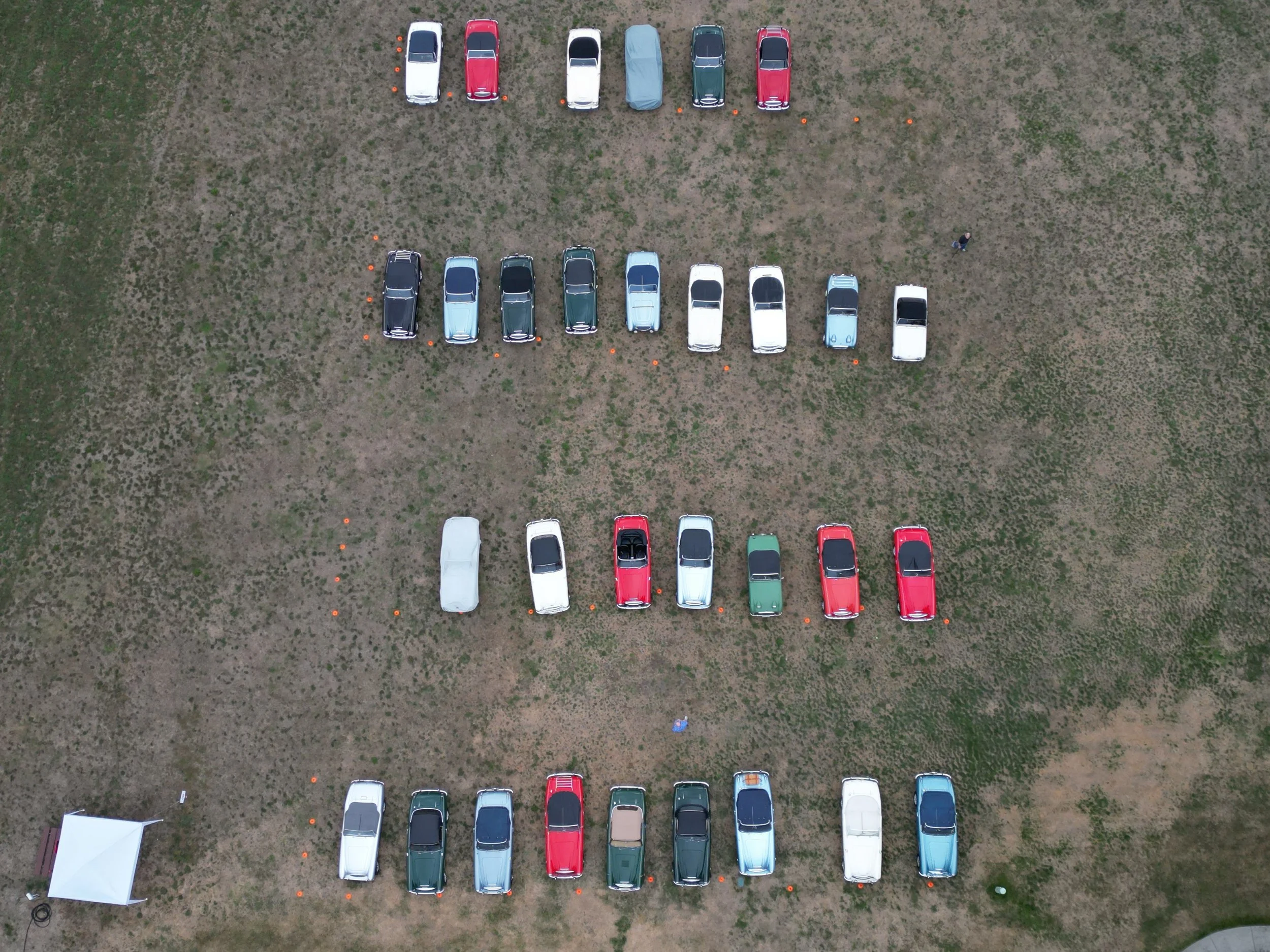 Chuckanut Drive ... with a gaggle of Healeys