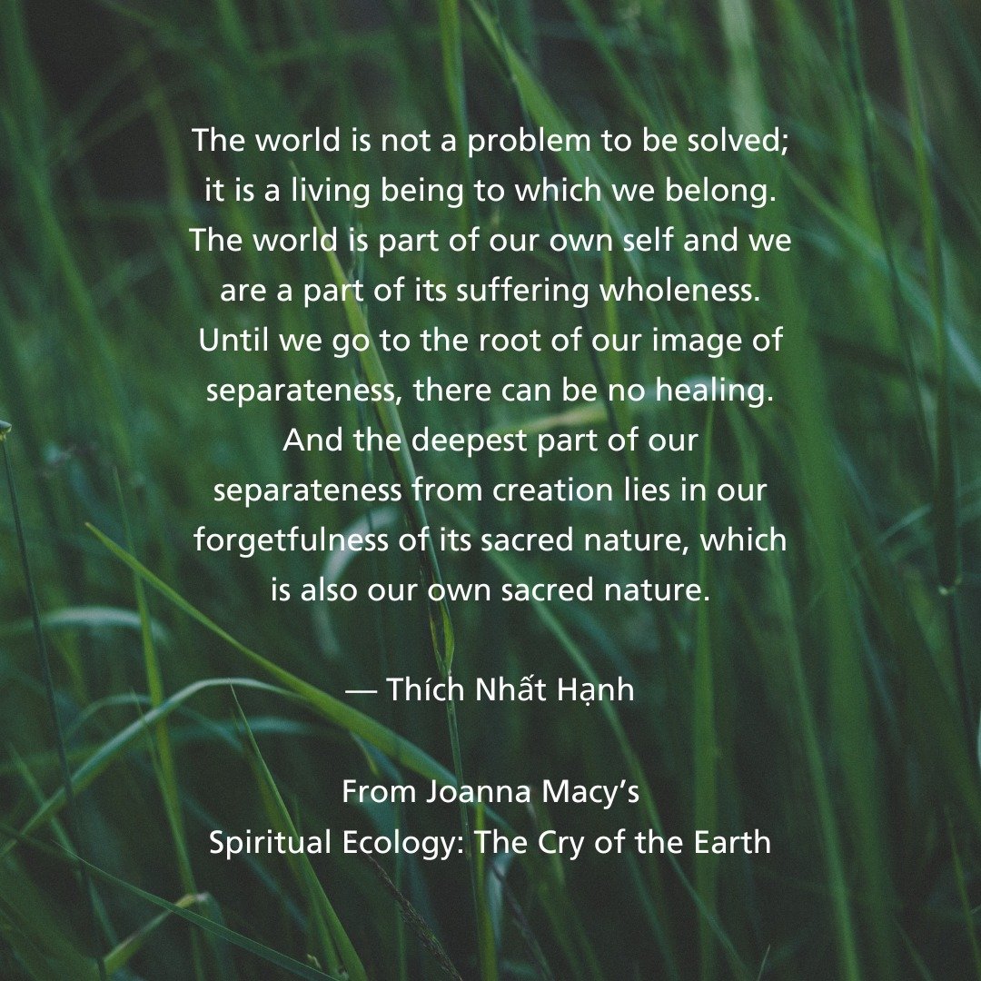 &quot;The world is not a problem to be solved; it is a living being to which we belong. The world is part of our own self and we are a part of its suffering wholeness. Until we go to the root of our image of separateness, there can be no healing.
And