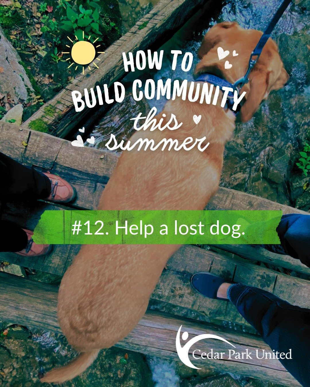 👋 How to build community this summer
#12. Help a lost dog.

Or a lost cat. Or a lost sheep. Instead of assuming that someone else will do something, be the person who pings your community group to see if it belongs to someone. Take a photo and share