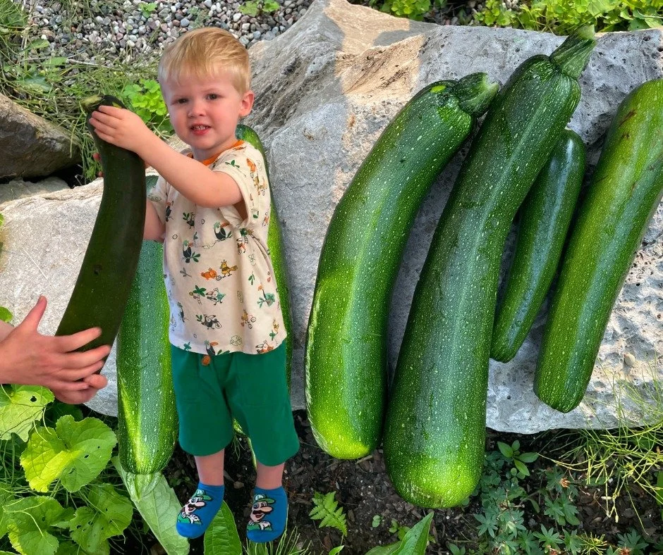 August 7 Friday Update: Lazy, Hazy Zucchini Days! 🥒
https://mailchi.mp/cedarparkunited.org/friday-update-august-7-2026

This summer, our Friday Update is coming out every two weeks. Yesterday's has lots of upcoming dates to save, events to get excit