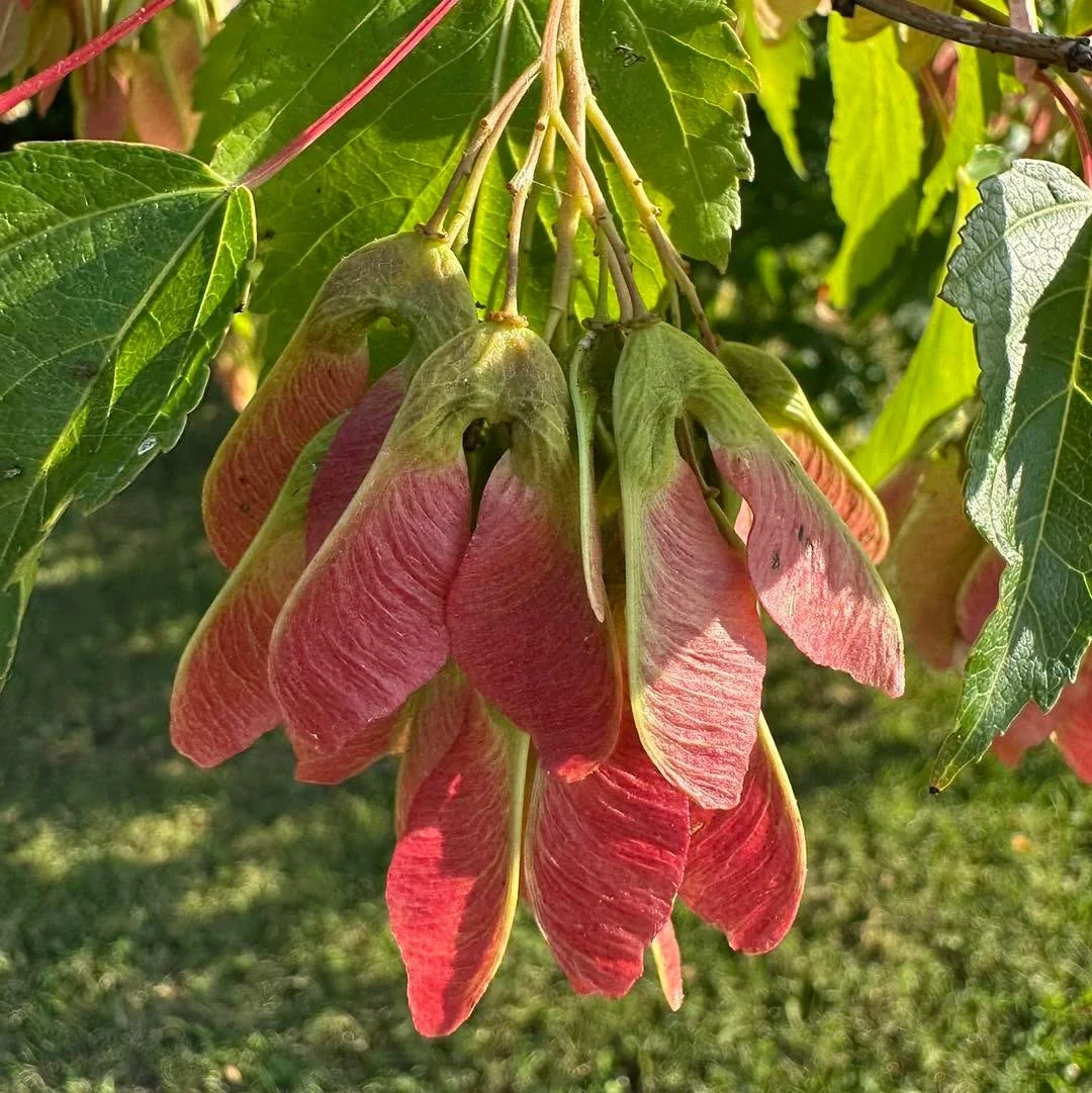 &ldquo;There is nothing to fear in the act of beginning. More often than not it knows the journey ahead better than we ever could. Perhaps the art of harvesting the secret riches of our lives is best achieved when we place profound trust in the act o