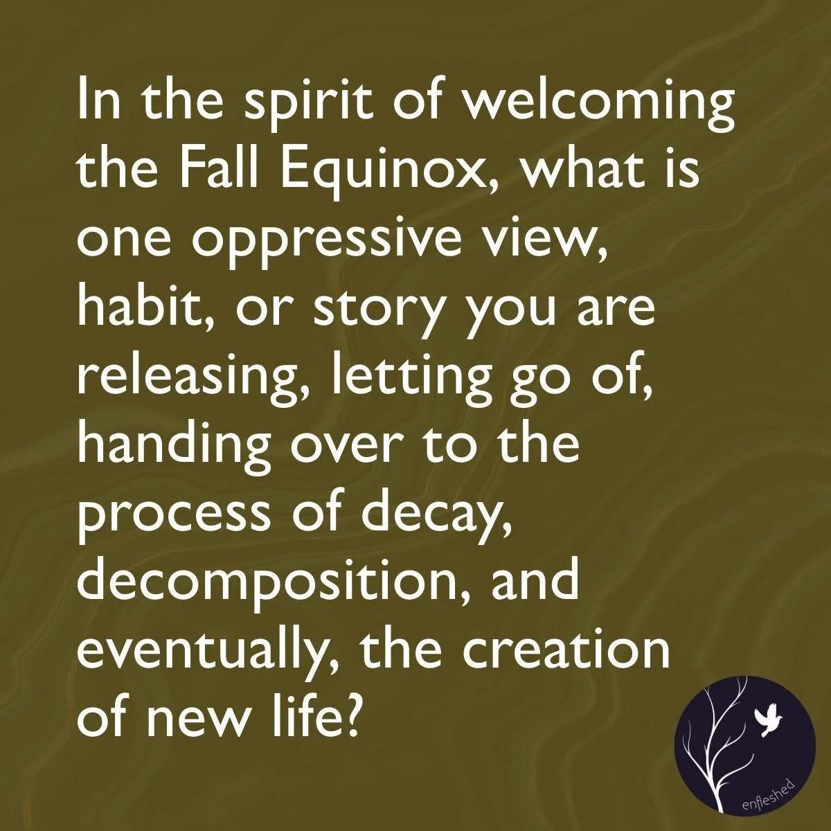 A good question to ponder today, on this Fall Equinox. 🍂

&ldquo;In the spirit of welcoming the Fall Equinox, what is one oppressive view, habit, or story you are releasing, letting go of, handing over to  the process of decay, decomposition, and ev