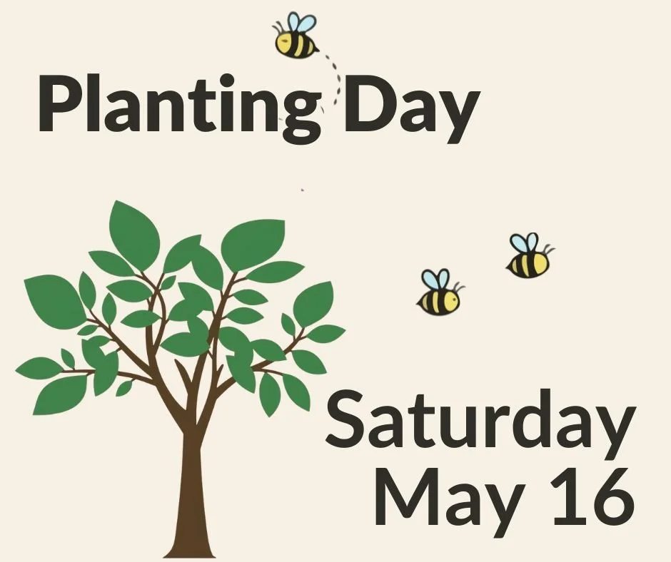 Planting Day.jpg