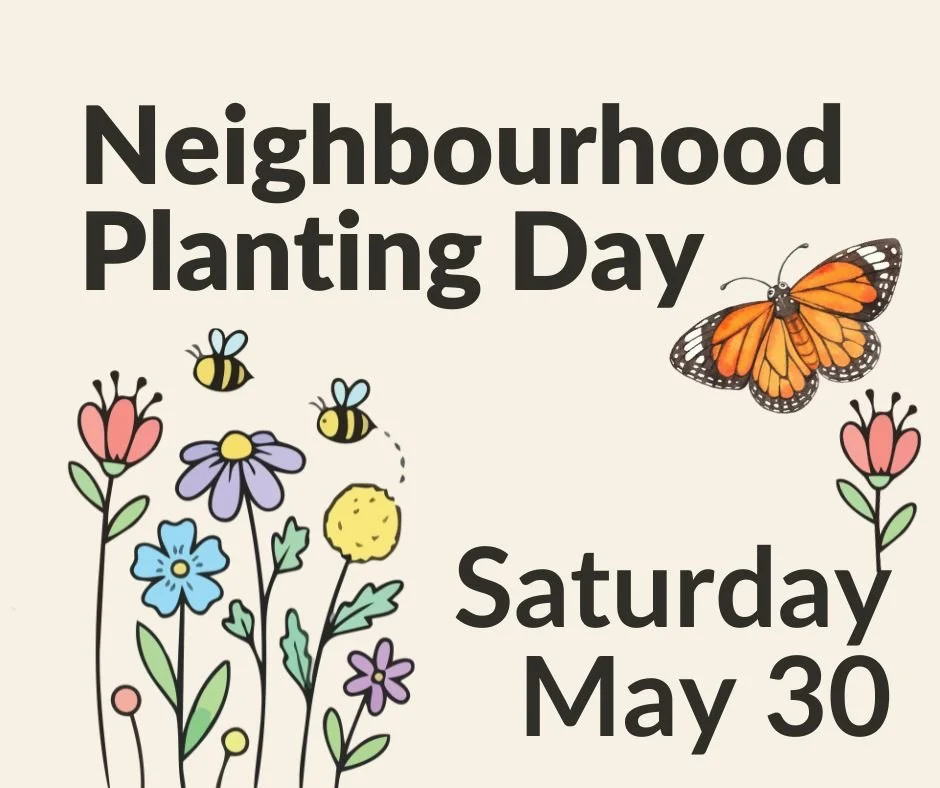 Neighbourhood Planting Day.jpg