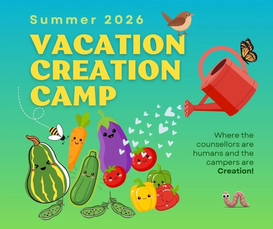 VCC 2026.jpg