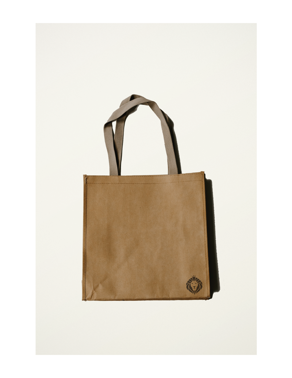 Bister_Bag.png
