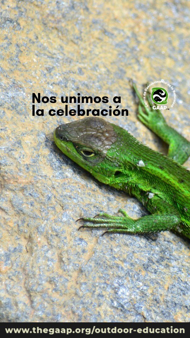 🐸 La biodiversidad es el producto de interacciones naturales que han evolucionado durante miles de millones de años, buscando un equilibrio y una salud sostenible. Sin embargo, en la actualidad, las acciones humanas están amenazando la