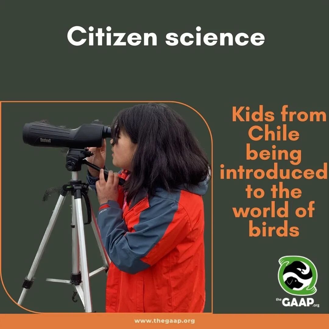 Imagine you're exploring nature, like a park or a forest, and you spot a cool animal or plant you've never seen before. Citizen science is like a team effort between regular folks and scientists. So, you take a picture or note down what you found usi