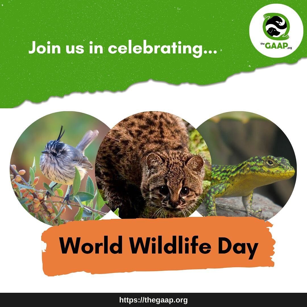 The GAAP invites you to celebrate World Wildlife Day, a date proclaimed in 2013 by the United Nations General Assembly to raise awareness about the value of wild fauna and flora.

People around the world rely on nature for food, fuel, medicine, and m