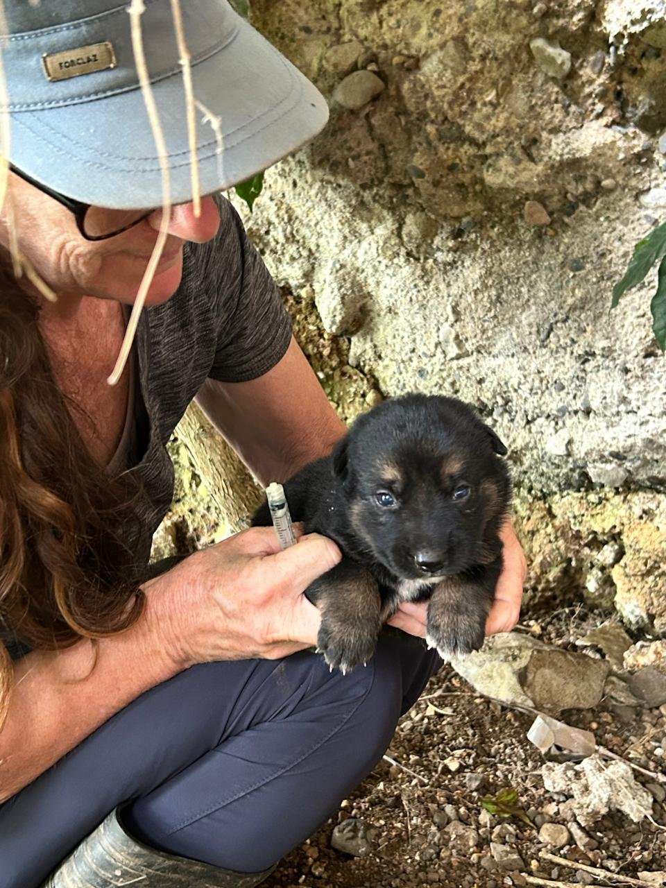 Laica’s Journey: A Story of Survival and Resilience
