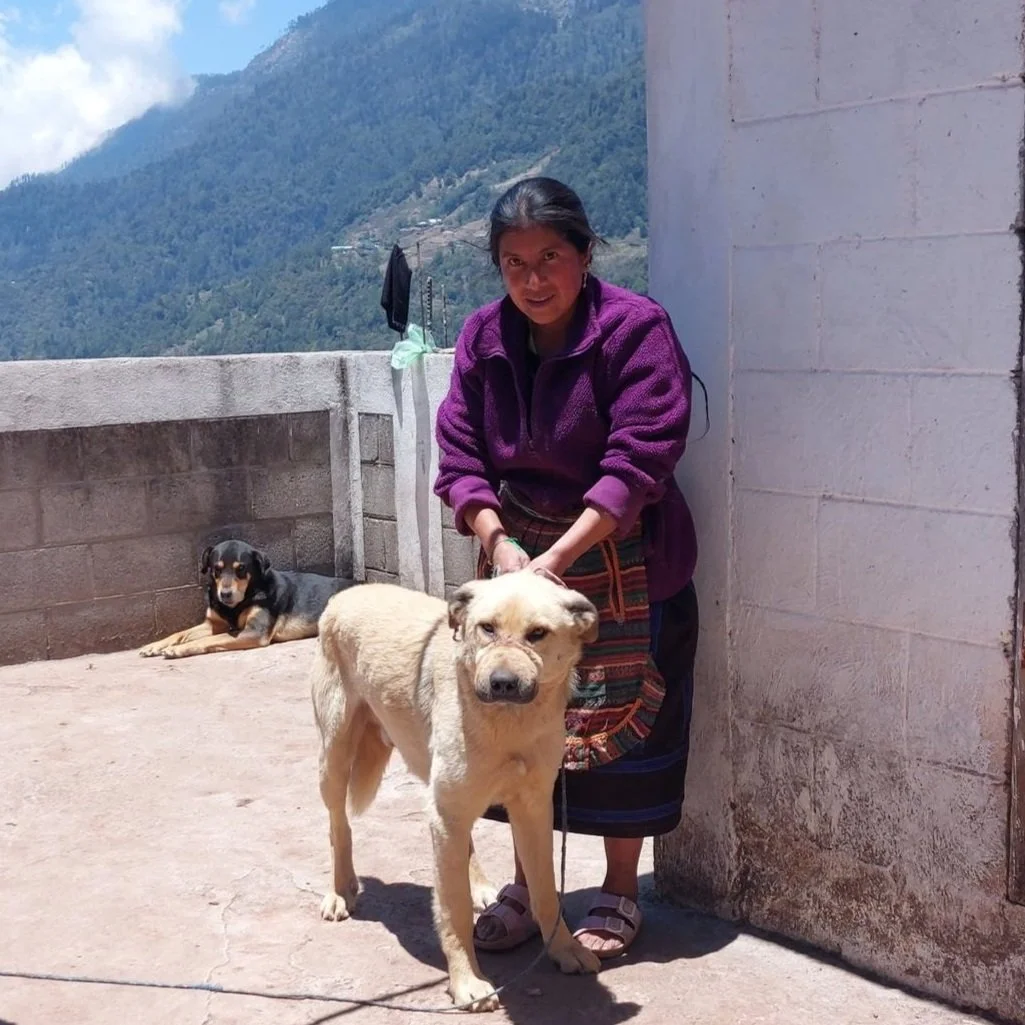 ANIMALS: Long-Term Telemedicine Services in Guatemala