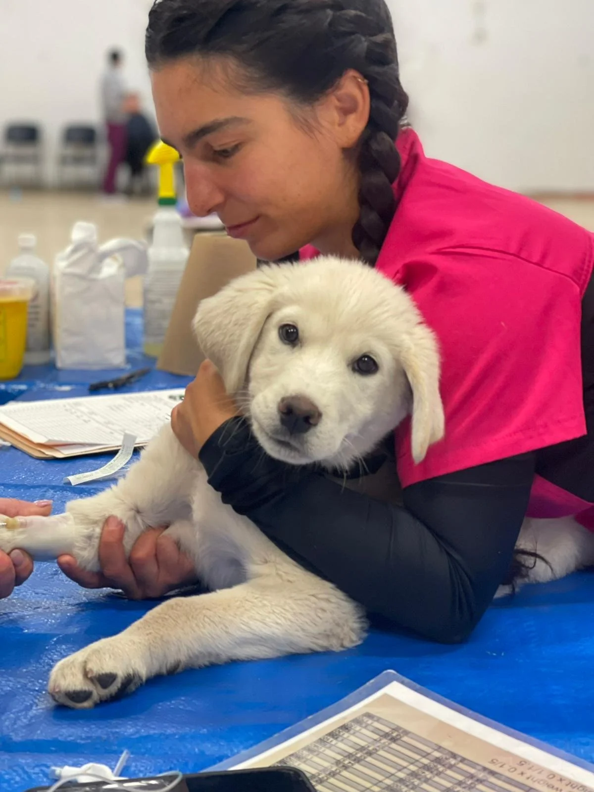 ANIMALS: Vet Care in Remote Areas of Canada