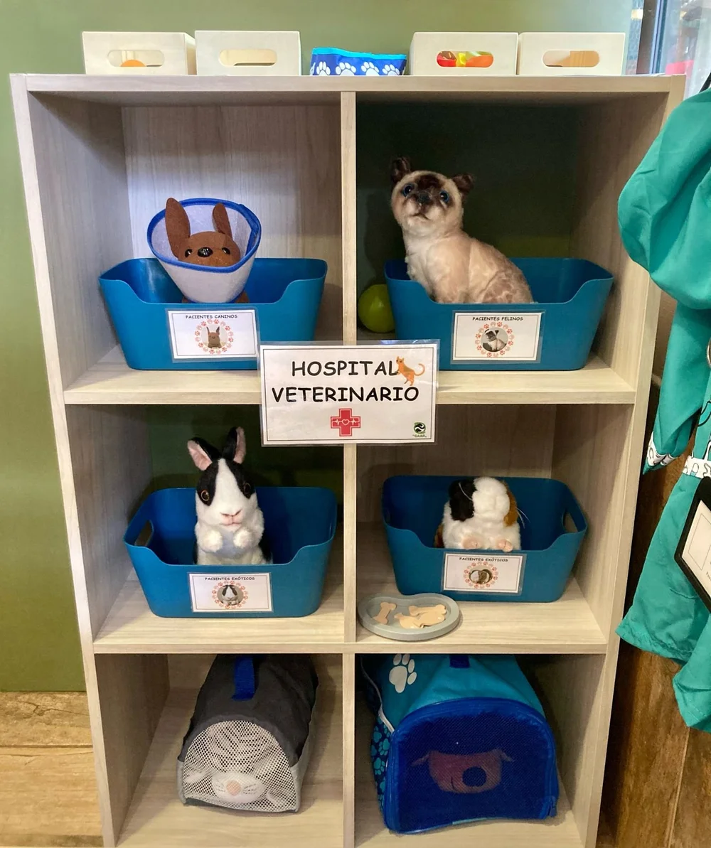 WhatsApp Image 2024-02-20 at 17.16.27 (1).jpeg