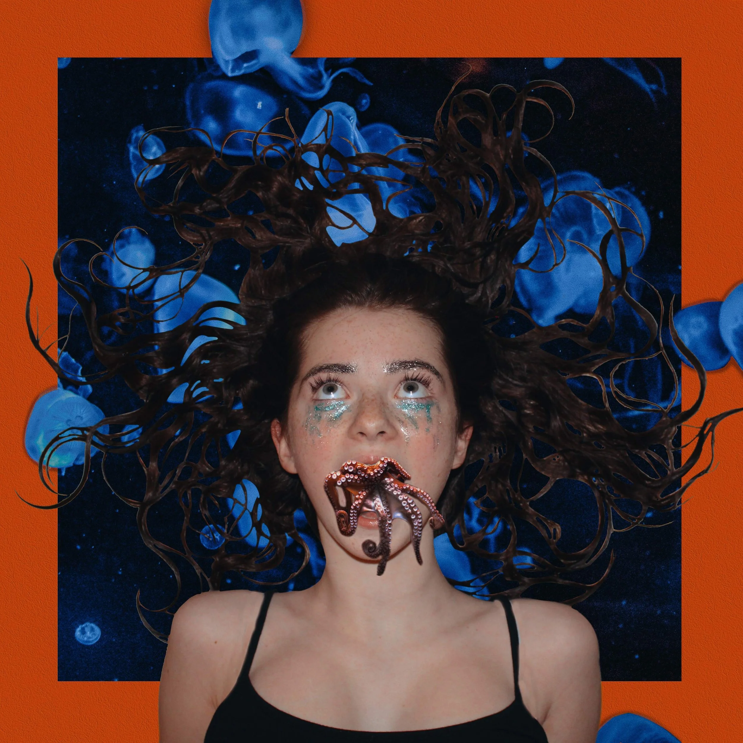 Photography & Image Manipulation