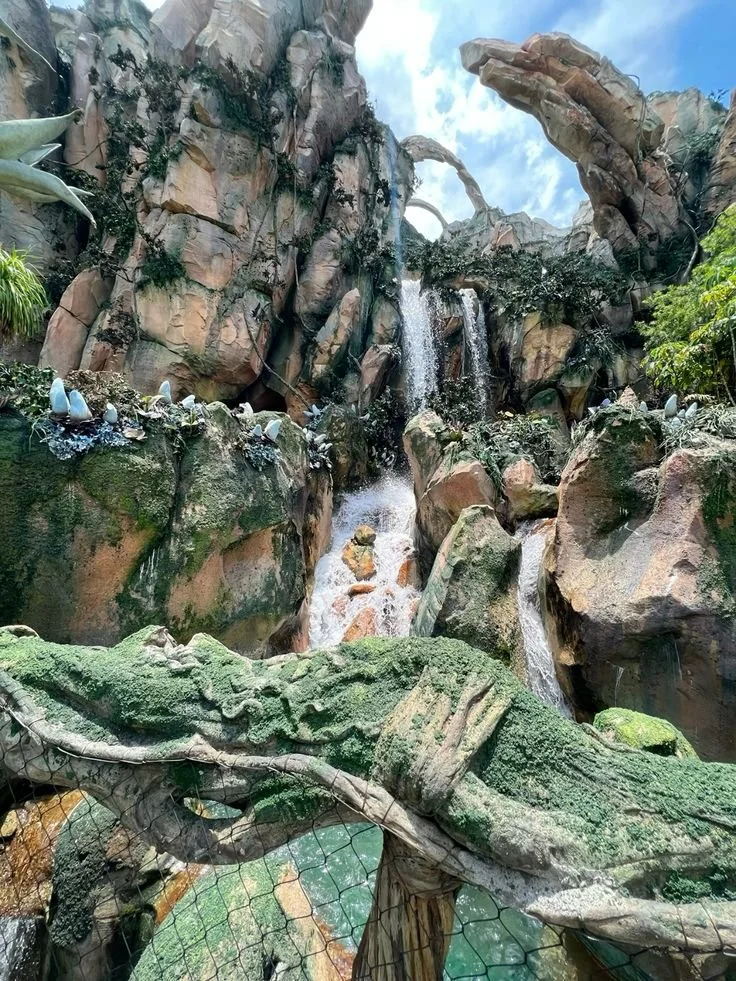 animal kingdom nature.jpeg