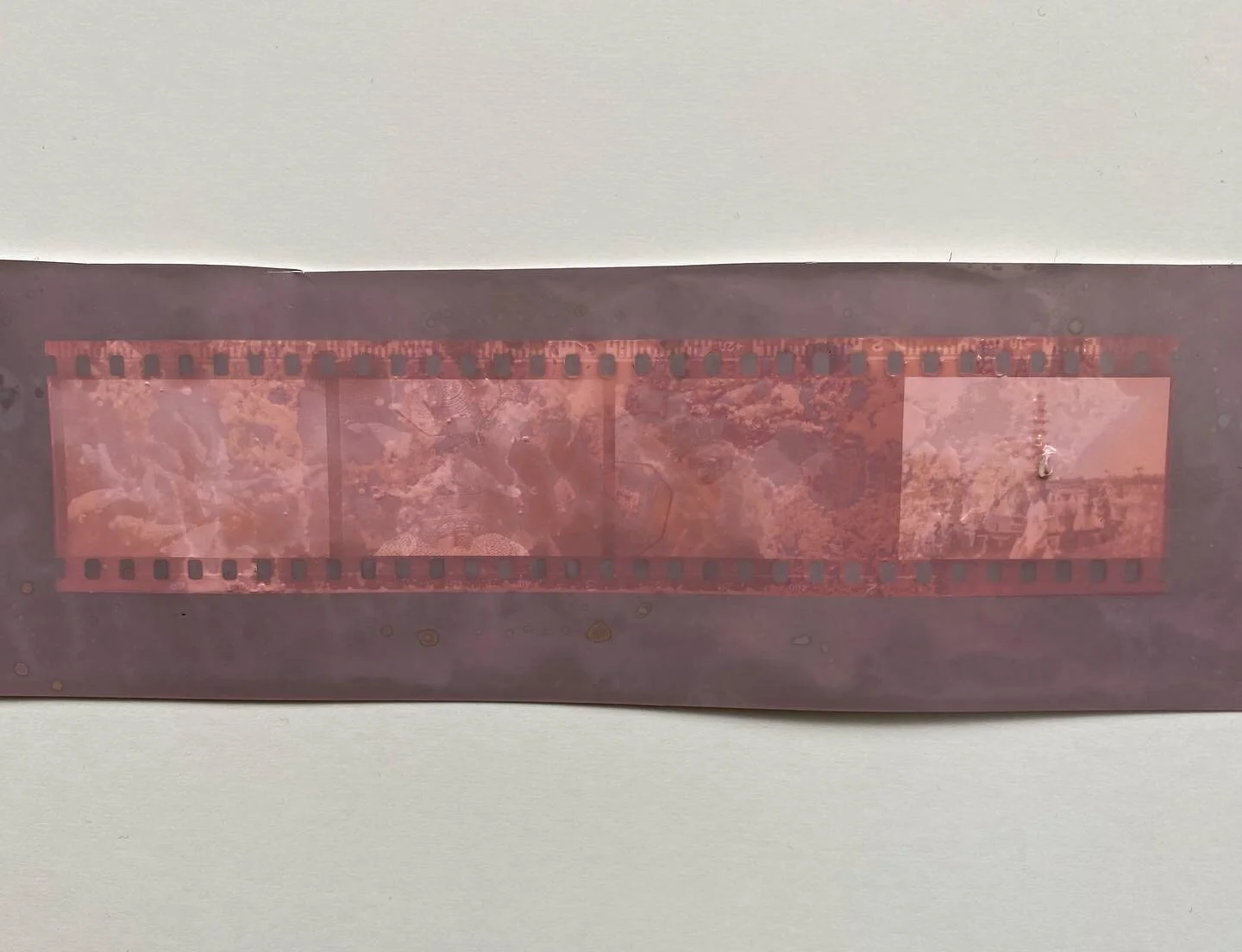 Lumen Prints - Photogenic Drawings #2
&bull;
&bull;
&bull;
#lumenprints#photography#experimentalphotography #experimental