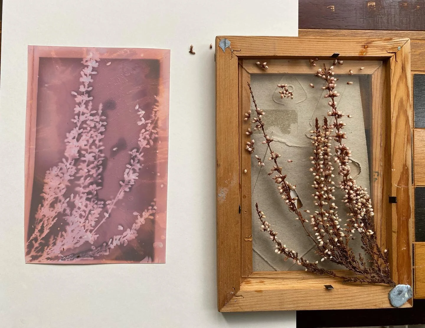 Lumen Prints - Photogenic Drawings #1
&bull;
&bull;
&bull;
#lumenprints#photography#experimentalphotography #experimental