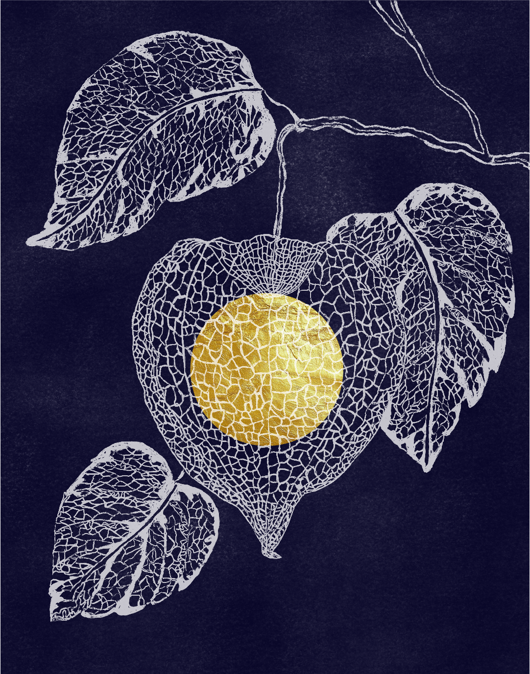 Spring Illustrations