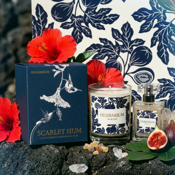 Untitled Project (10).png