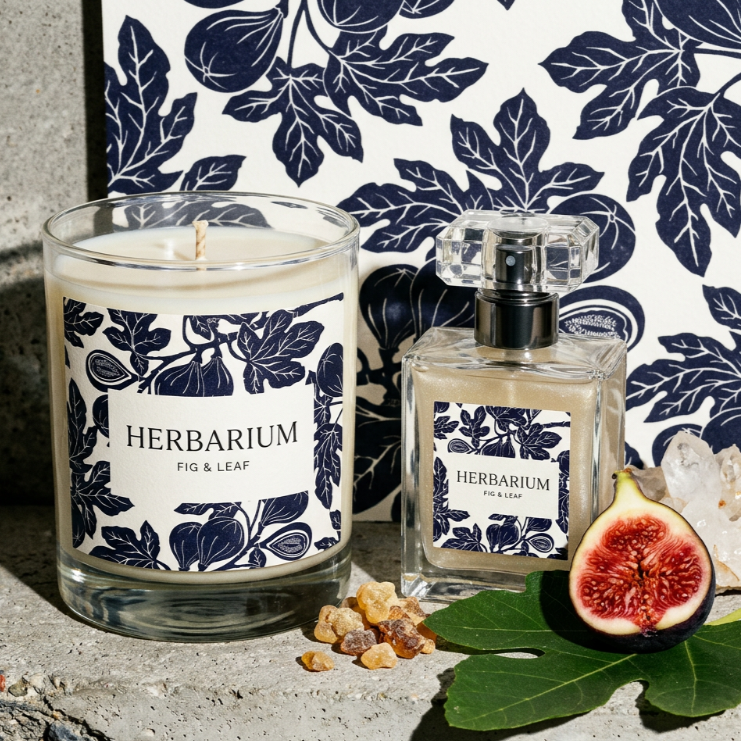 Untitled Project - illustrationImage (3).png