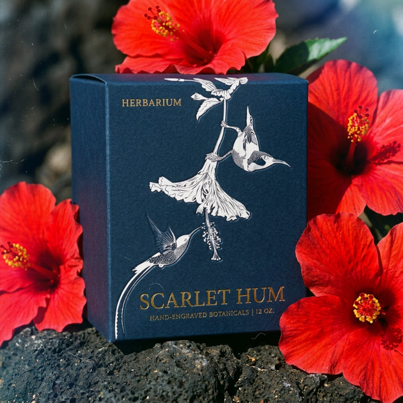 Herbarium - Concept Project