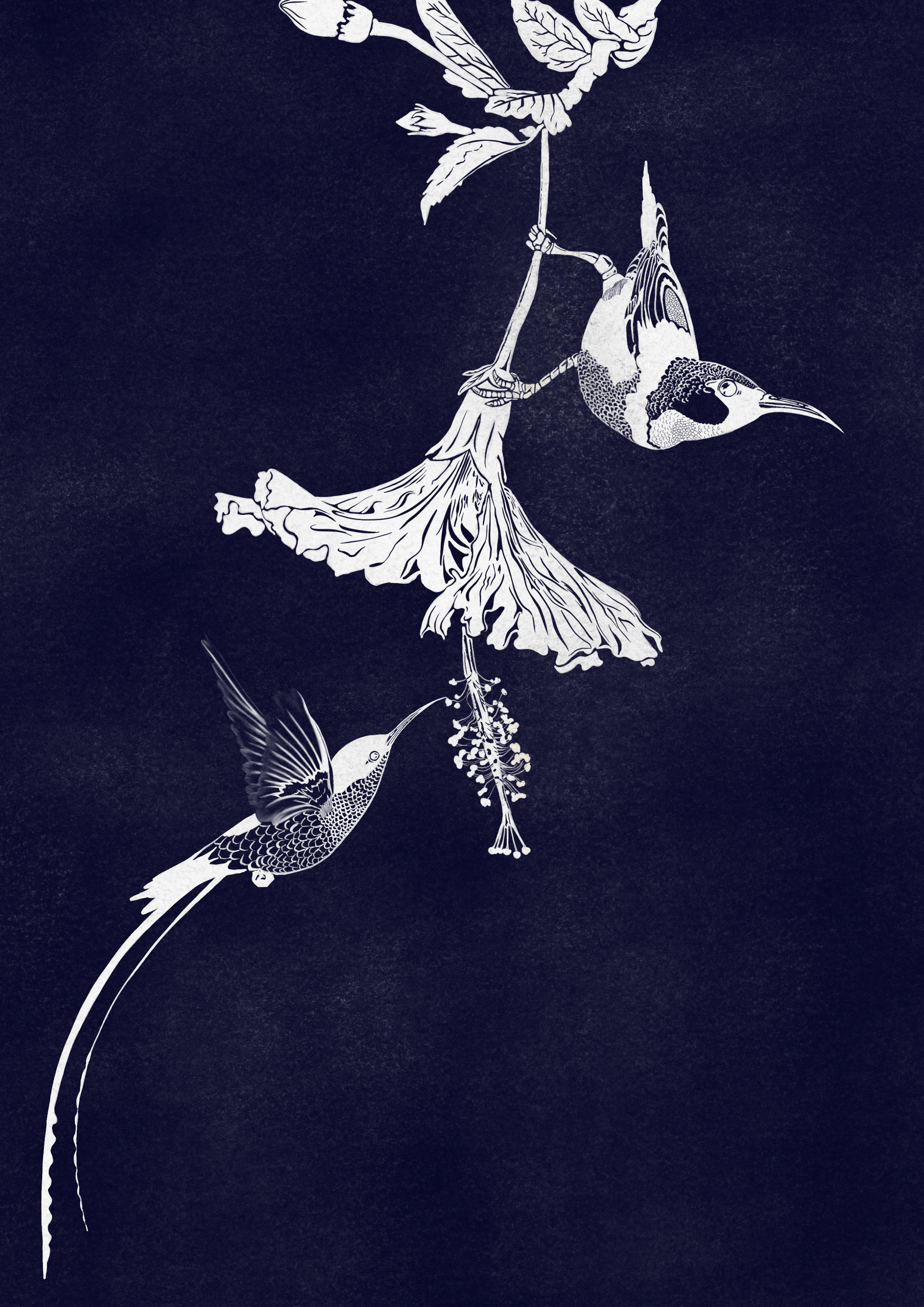 Untitled_Artwork 2.PNG