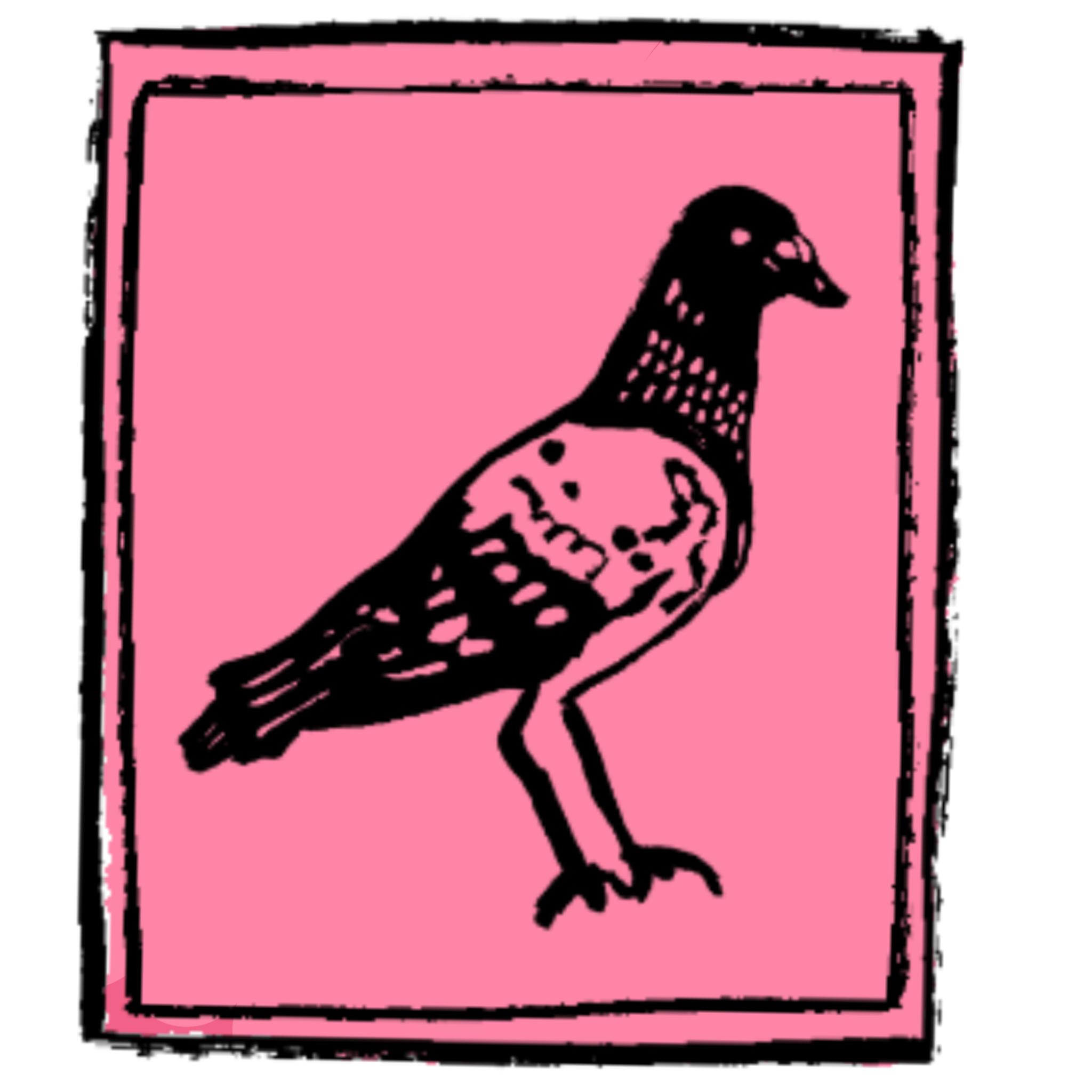 Pink Pigeon Club - Logo & Branding