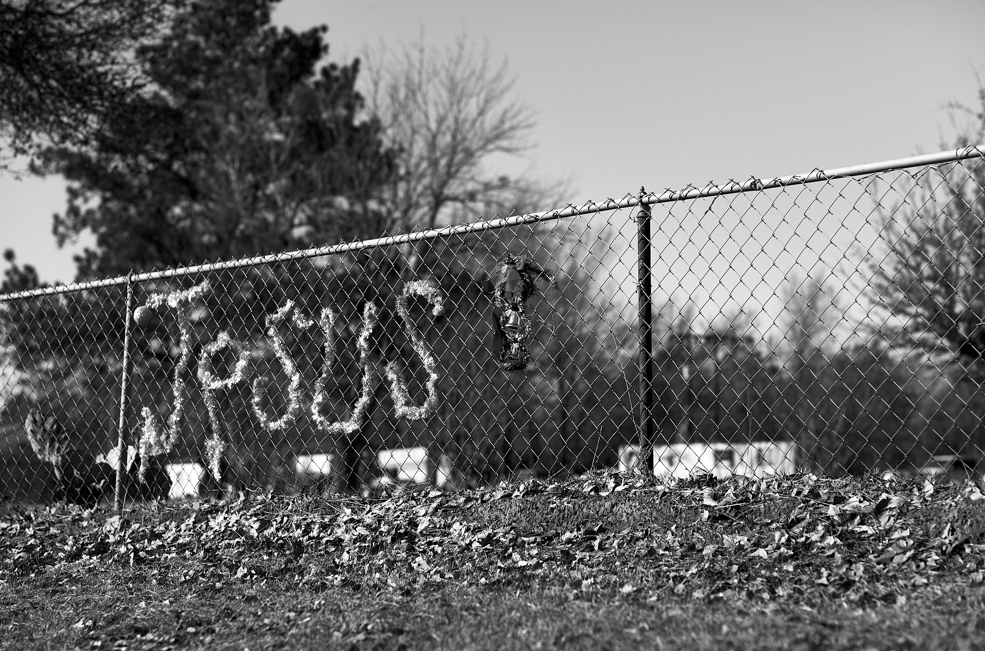 Hamburgers and Pixie Dust