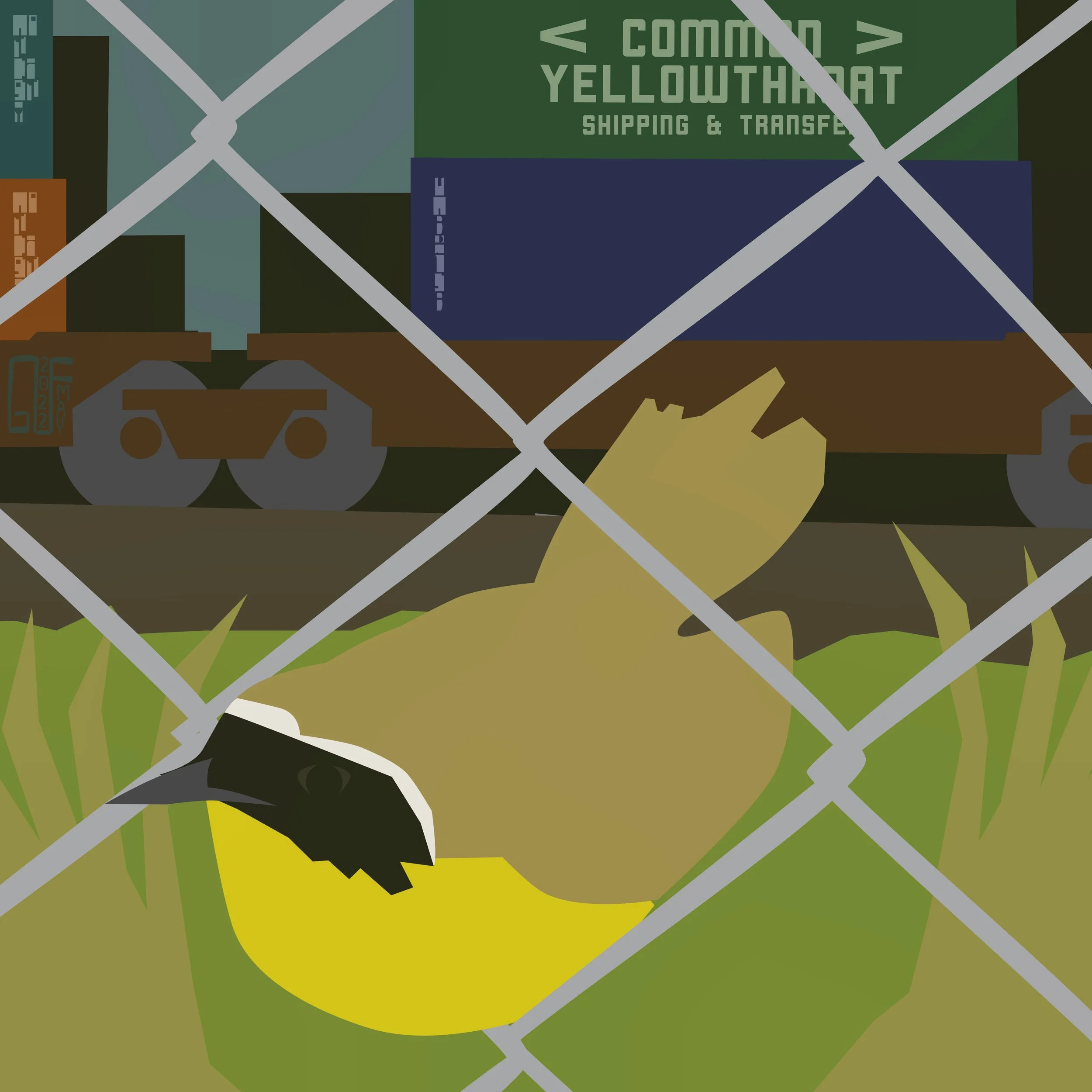 Common Yellowthroat