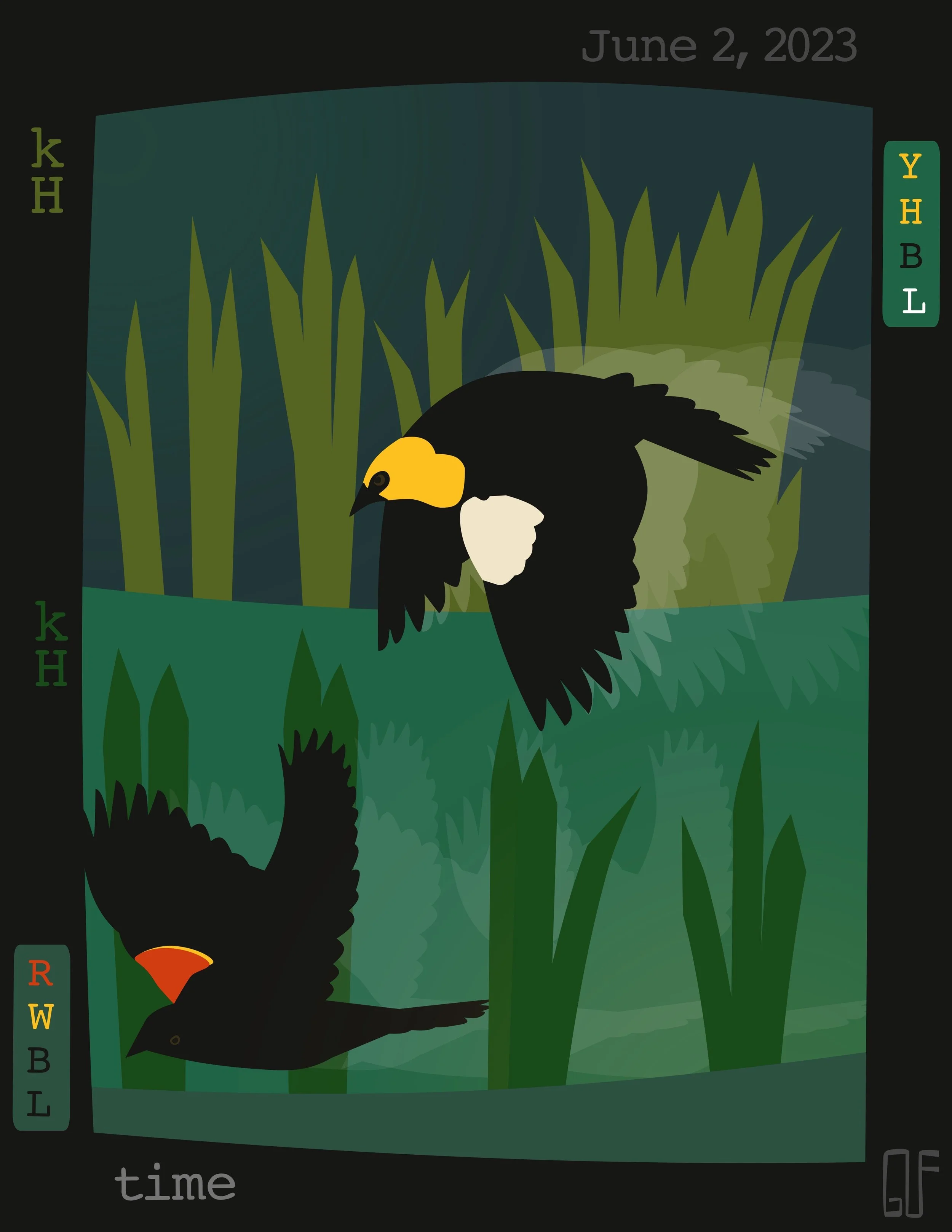 Yellow-headed Blackbird and Red-winged Blackbird