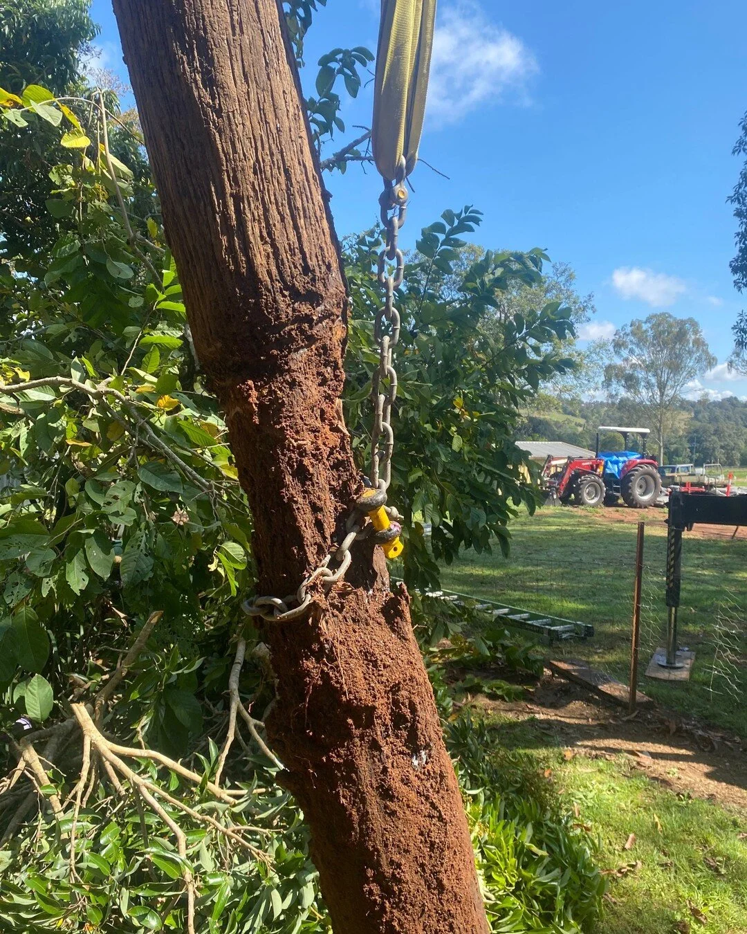 This pole in Lagoon Pocket was retired recently and replace with a new 8m 5kN treated power pole that will last at least 20 years, and probably much, much longer β‘
If you're not sure about the condition of your property poles, give us a call for a f