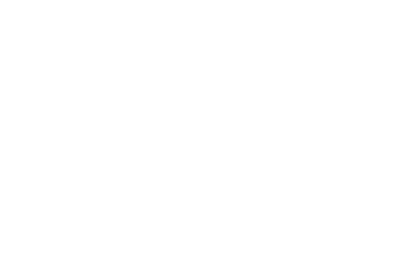 the house of weddings