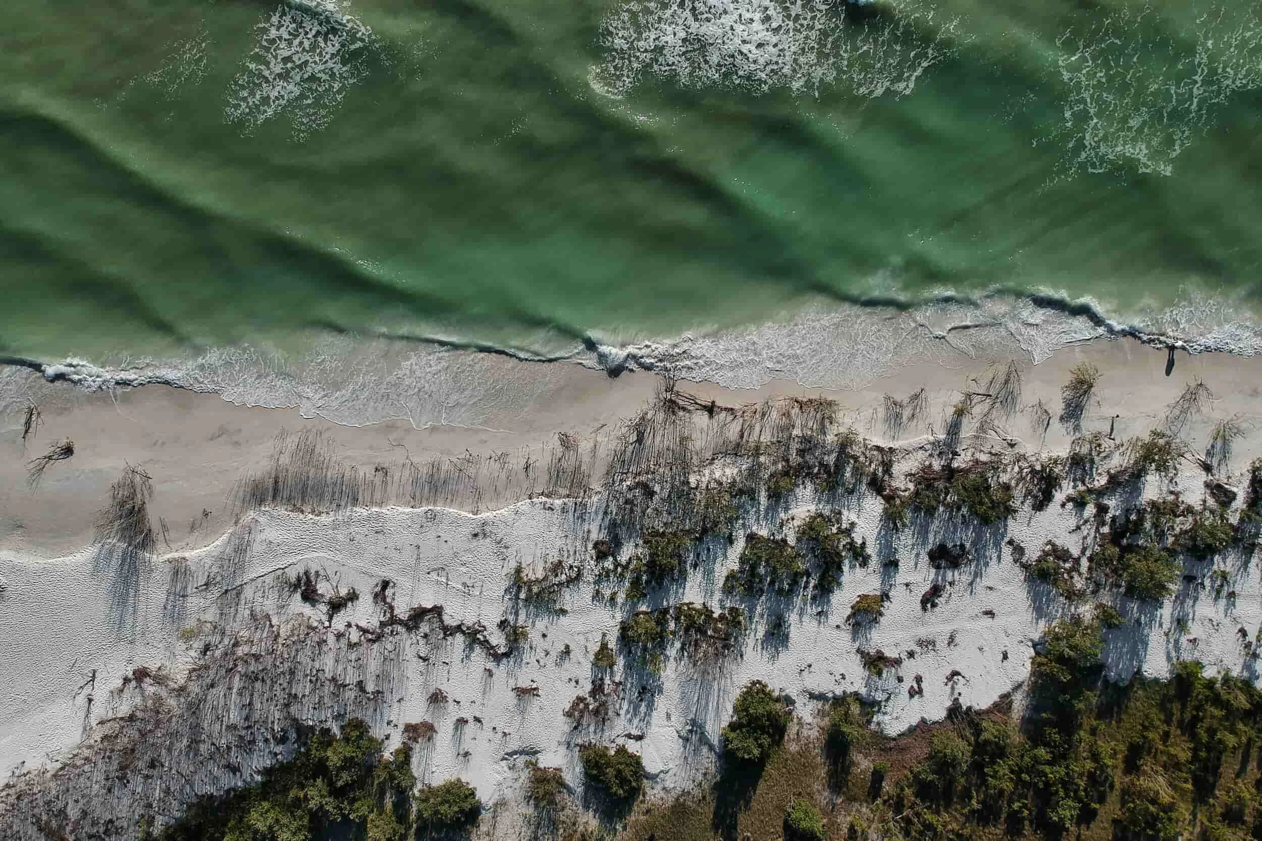 cinematic photography wedding.jpg