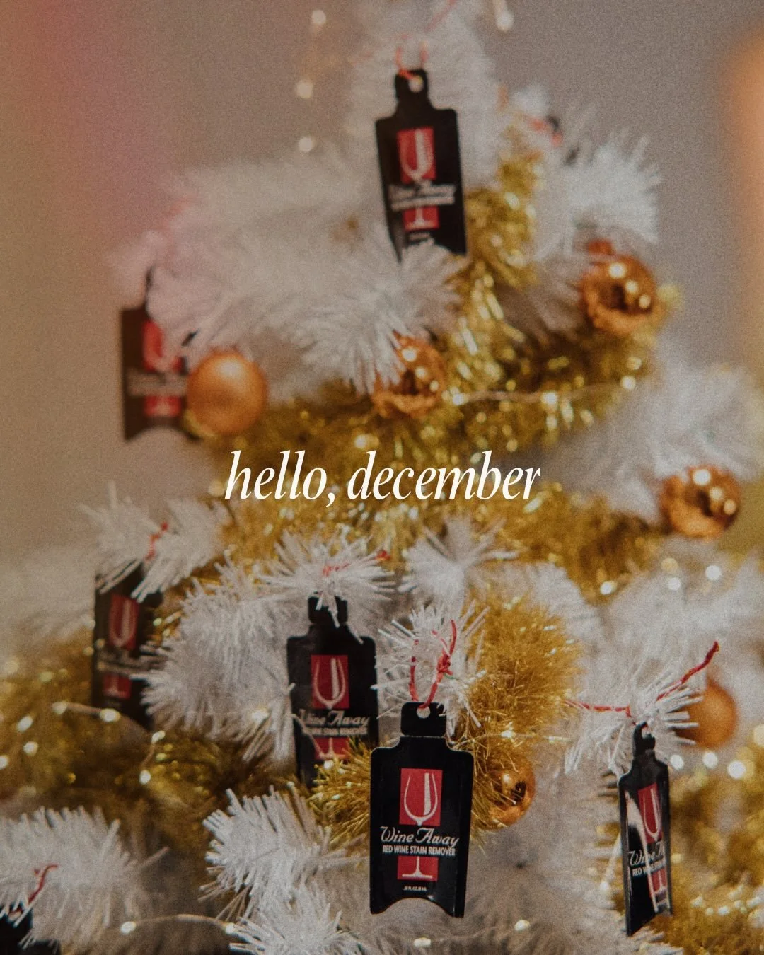 Warm winter wishes from our family to yours as we welcome December! Take time to embrace the holiday joy this season.❄️🎄