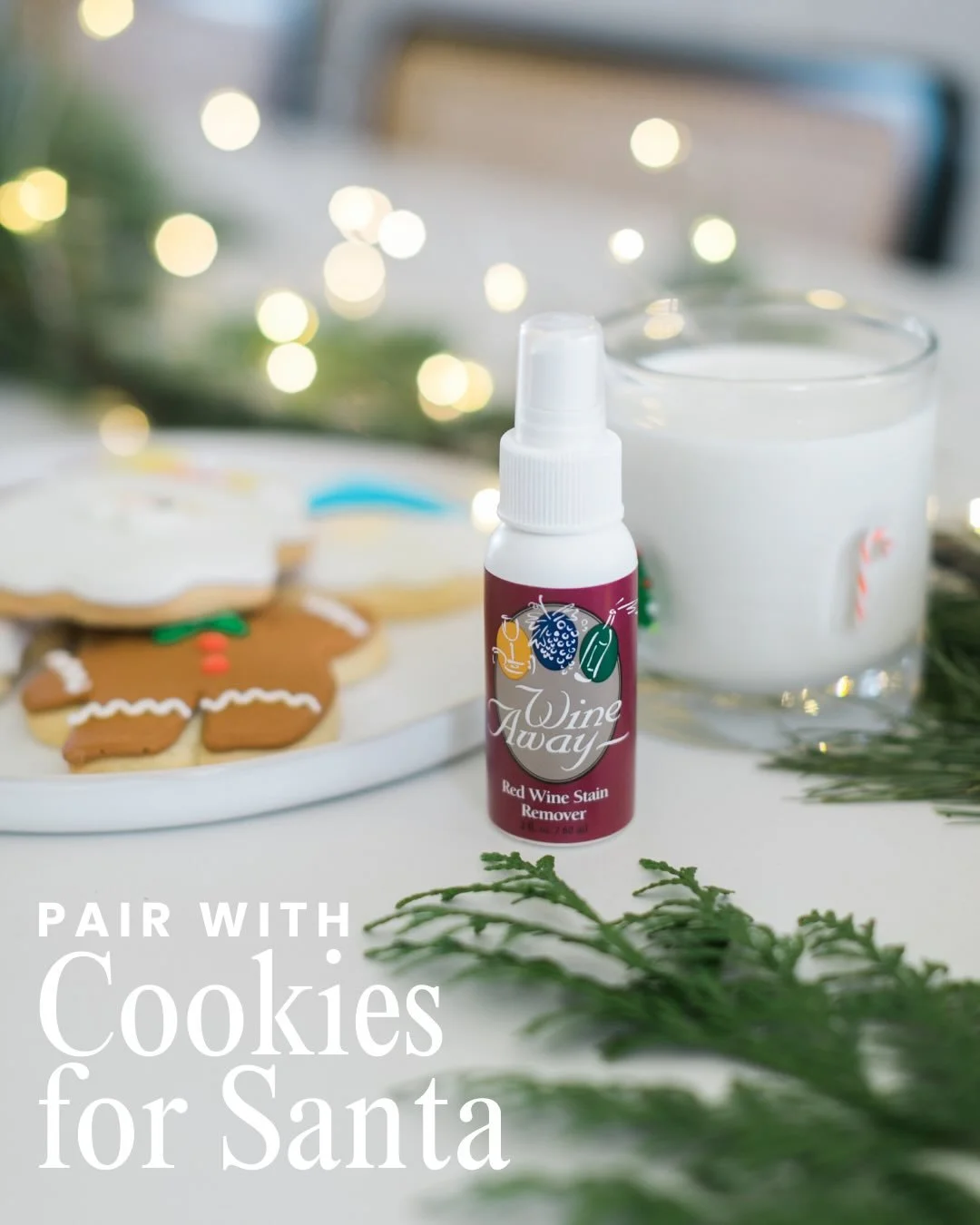 Pair with Cookies for Santa 🎅🏻. Swipe right for cookie recipe. 🎄