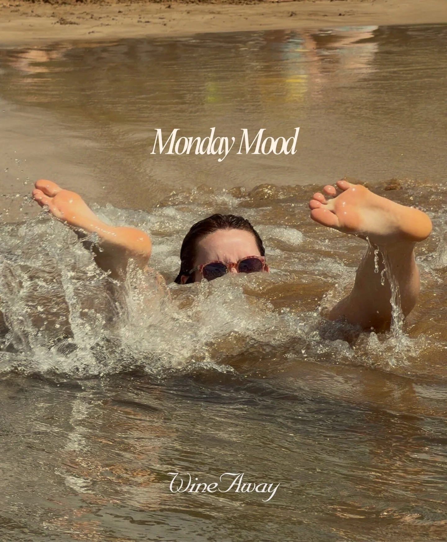 Anyone feeling like this today? 🙋🏽&zwj;♀️ The most Monday of all Monday&rsquo;s. 
&bull;
&bull;
&bull;
#wineaway #wineawaytotherescue #maui #mondaymotivation