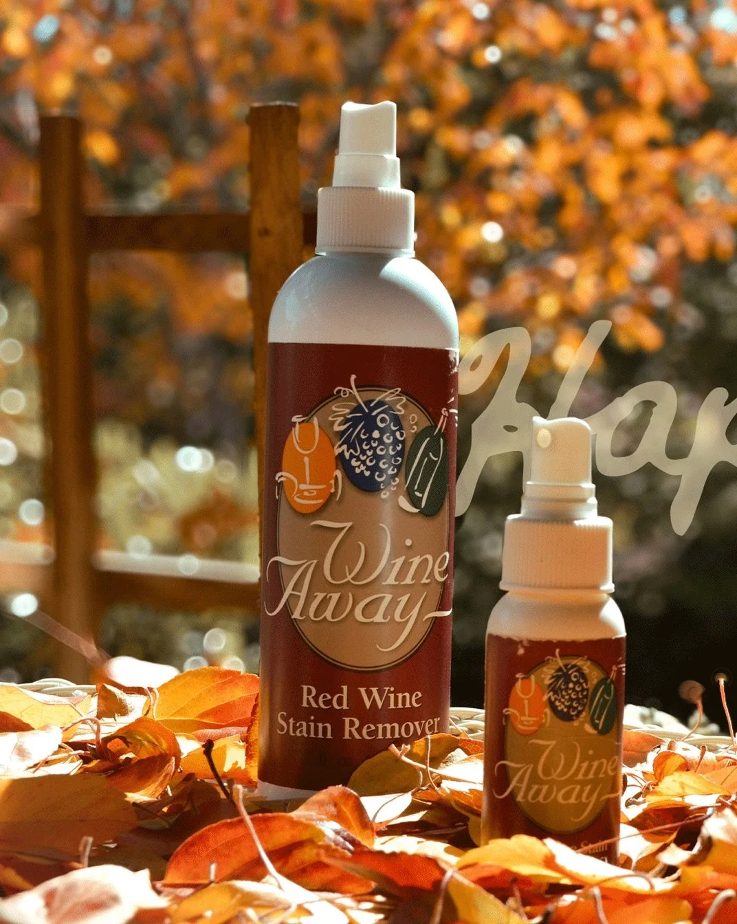 It&rsquo;s officially fall, and we could not be more excited! 🍁
&bull;
&bull;
&bull;
#wineaway #autumn #fall #equinox #happyfall