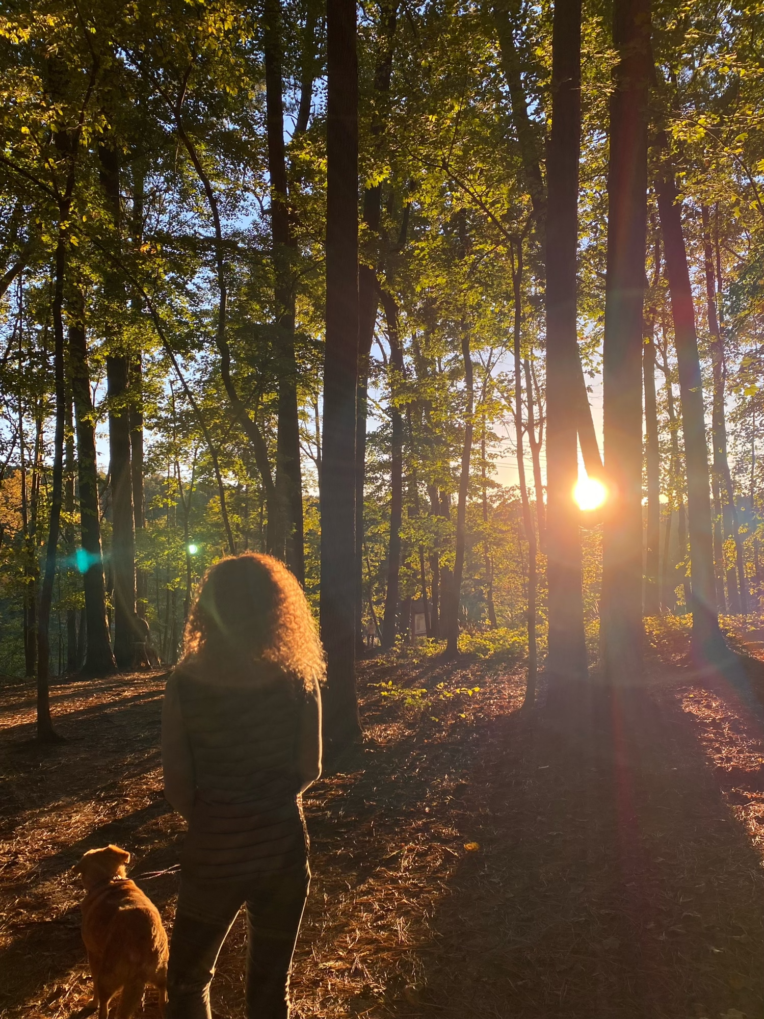 Go with your Gut (Part One!)