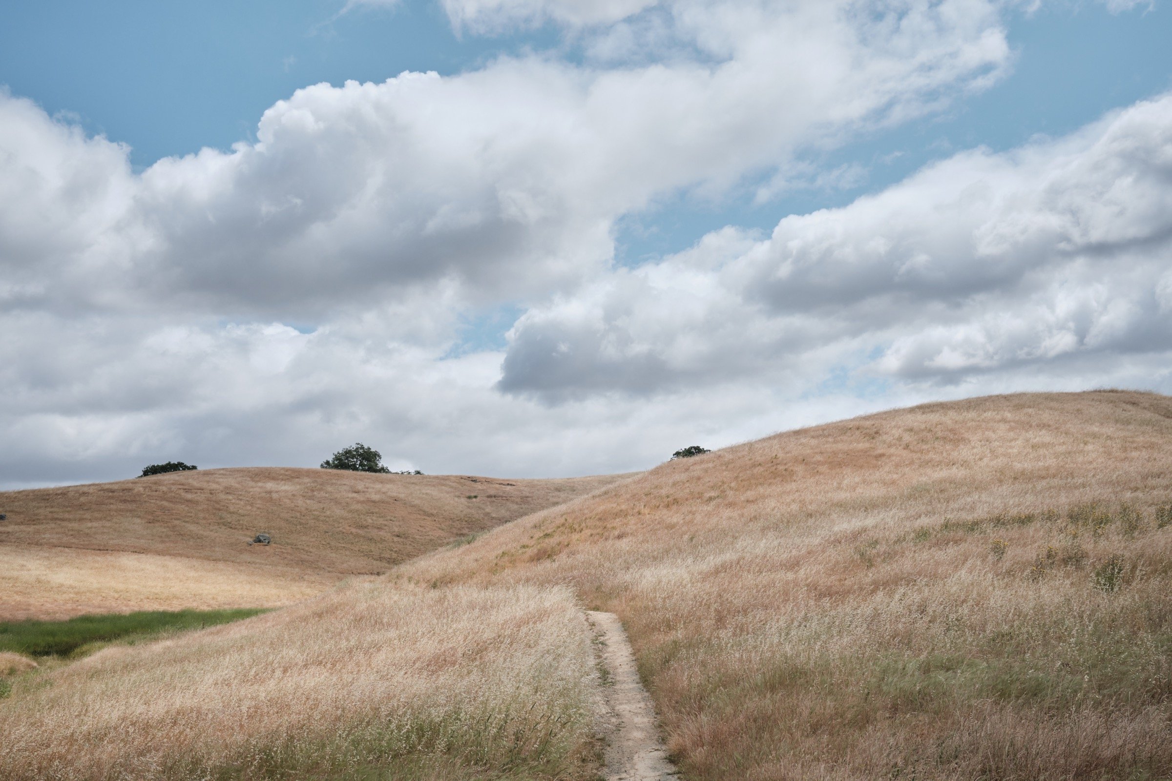 Rancho San Vicente and Calero Park
