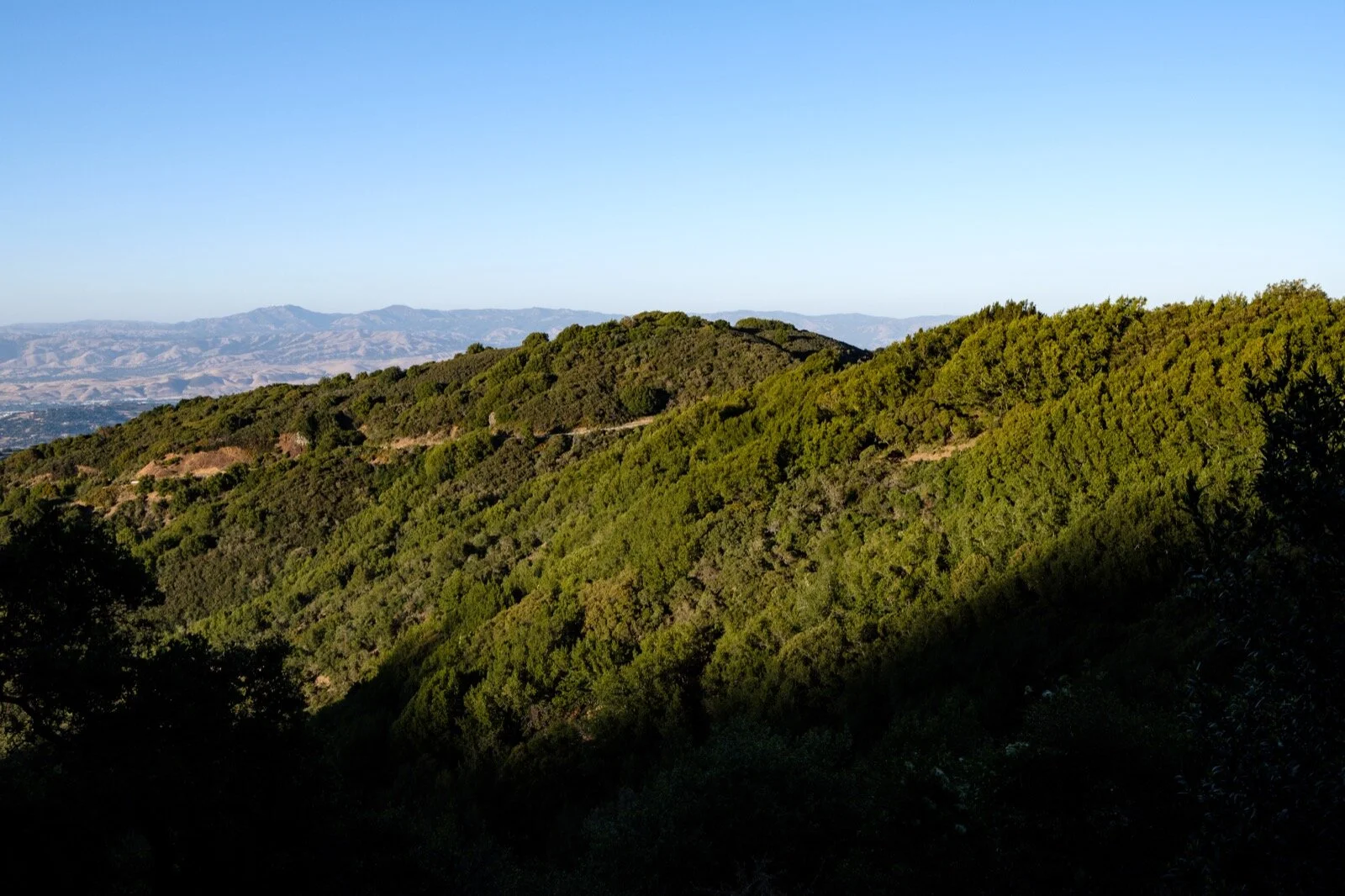 _DSF8341-Enhanced.jpg