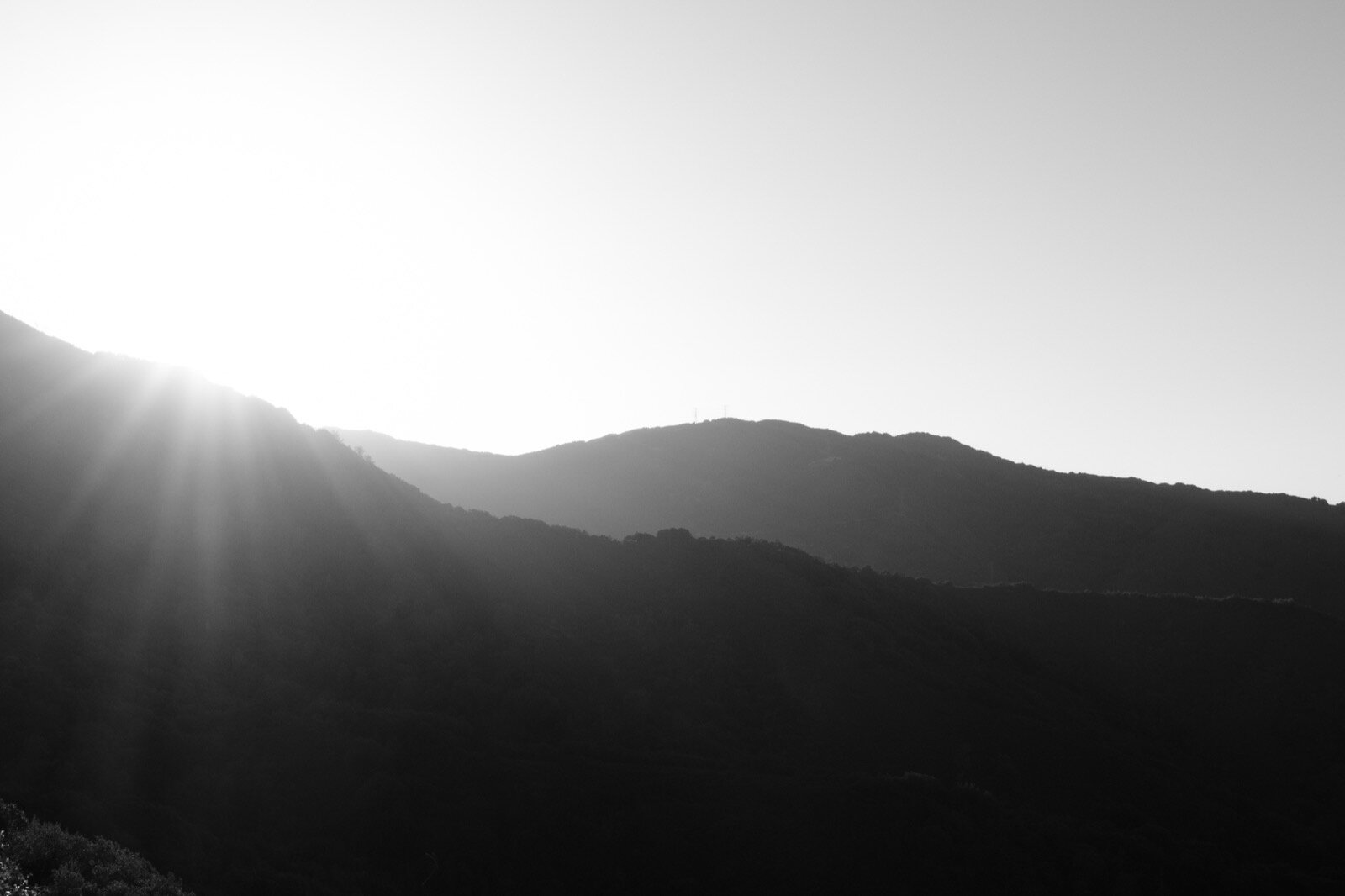 _DSF8361-2-Enhanced.jpg