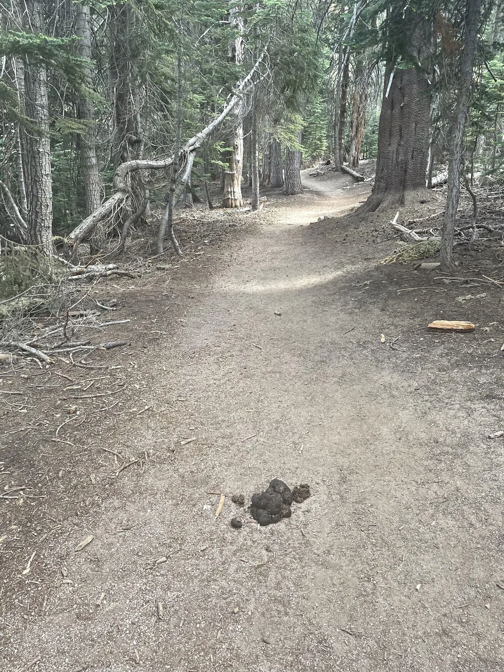 Jennie and Weaver Lakes Loop — The Weekly Camper