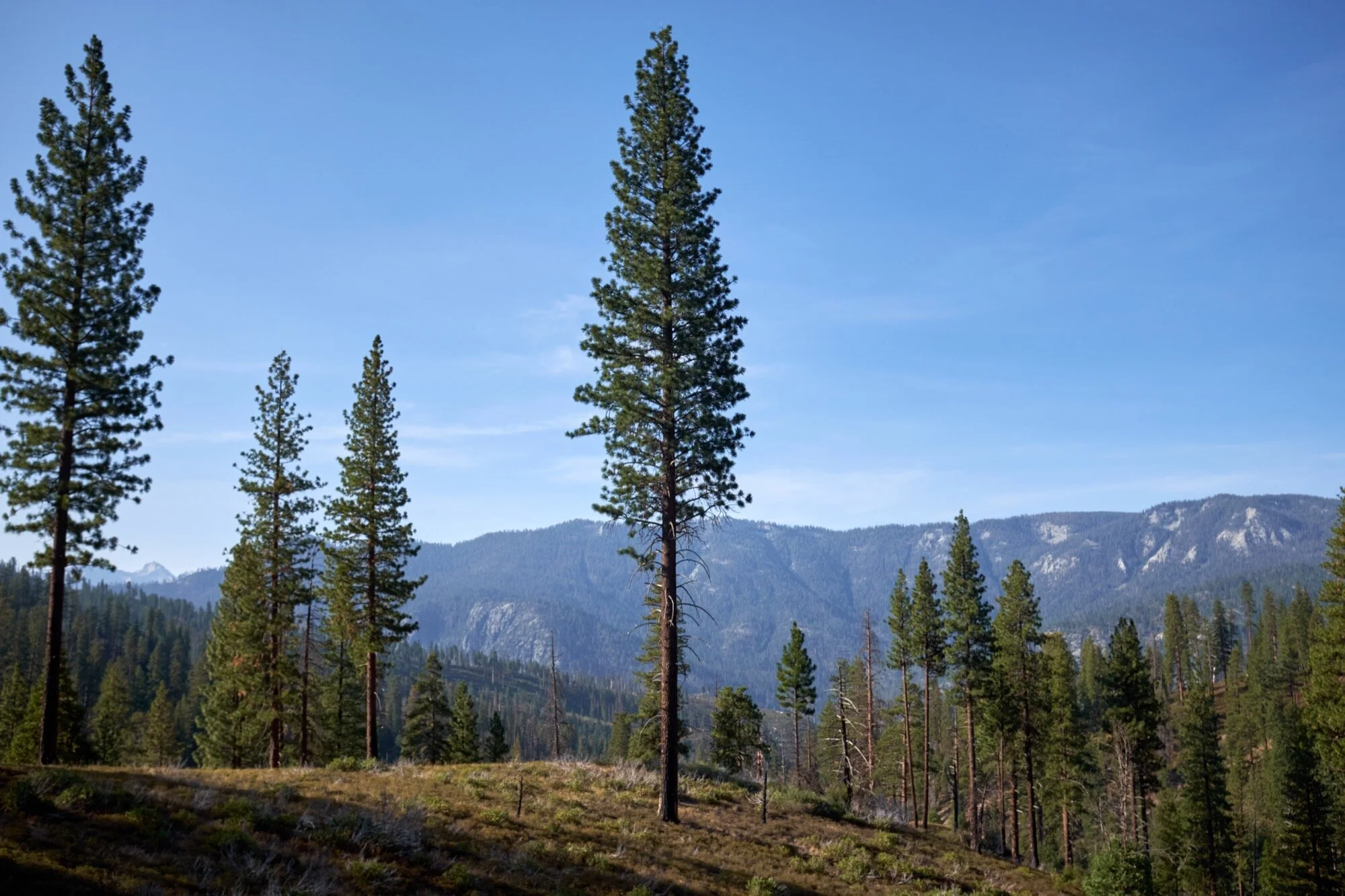 DSCF9052.jpg
